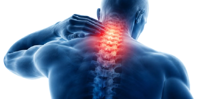 Anatomical highlight of neck and spine pain